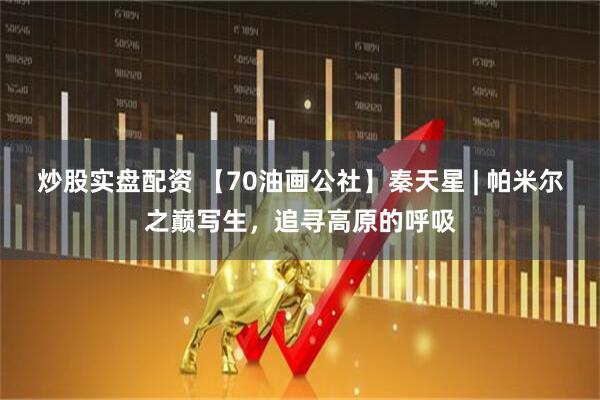 炒股实盘配资 【70油画公社】秦天星 | 帕米尔之巅写生，追寻高原的呼吸