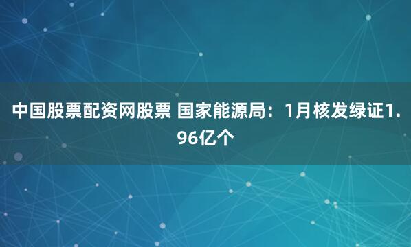 中国股票配资网股票 国家能源局：1月核发绿证1.96亿个